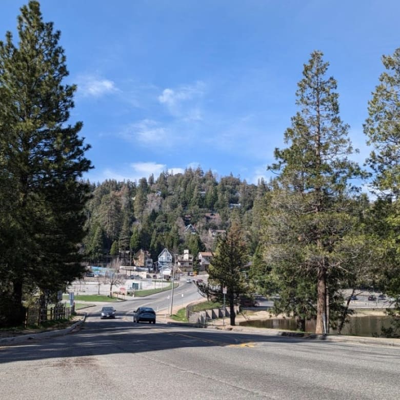 Living in Crestline, CA: A Local Guide to Crestline Real Estate & Mountain Life